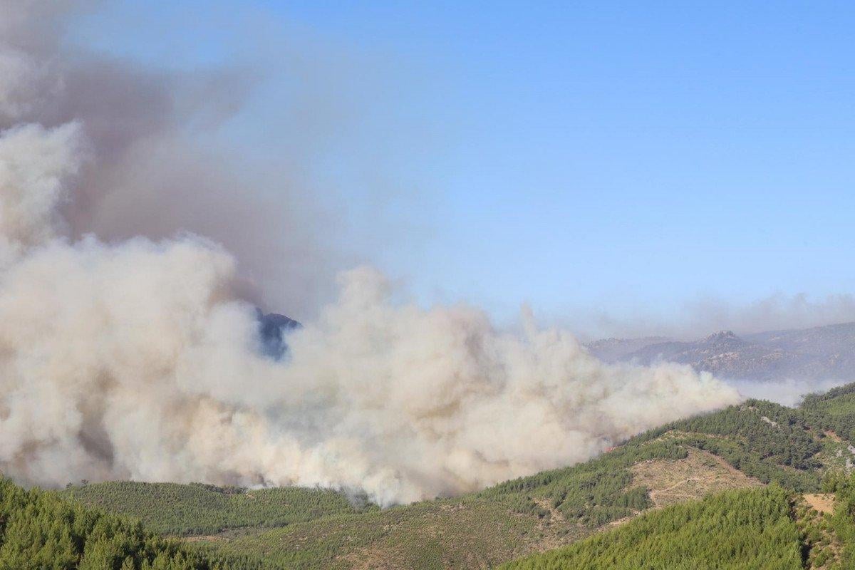 Mersin'in Aydıncık ilçesinde orman yangını sürüyor