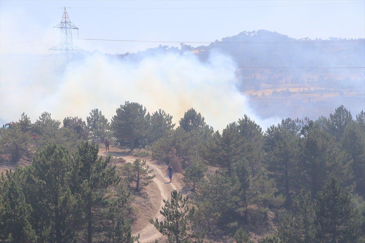 Ciğerlerimiz yanıyor: Hangi illerde yangın çıktı? 29 Temmuz yangında son durum...