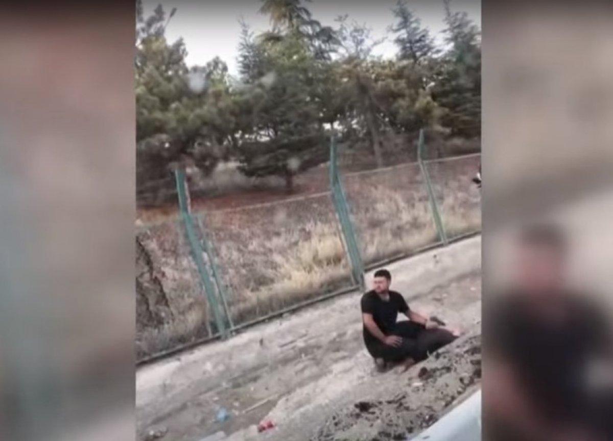 Türkiye'nin ormanları yanıyor