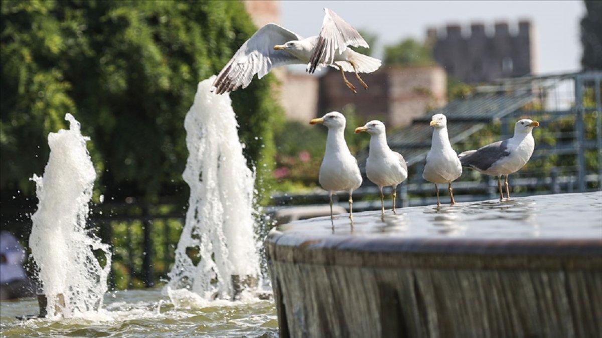 Türkiye eyyam-ı bahur sıcaklarının etkisi altına giriyor