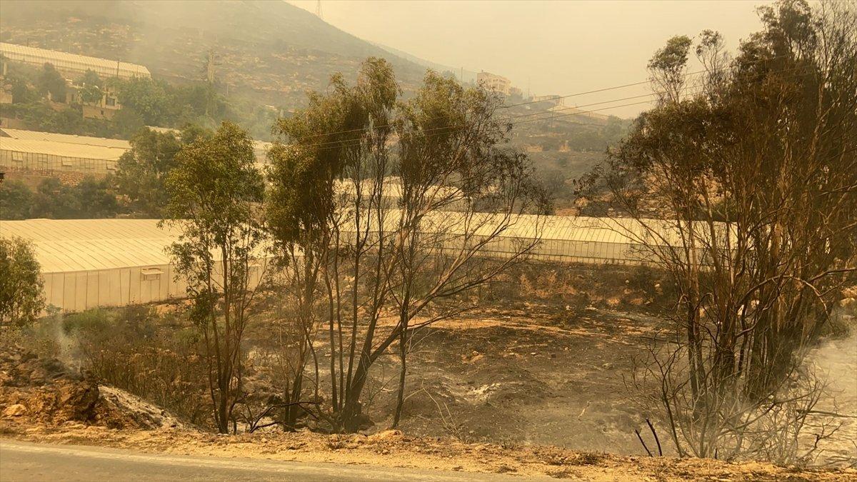 Mersin ve Adana yangınlarında söndürme çalışmaları