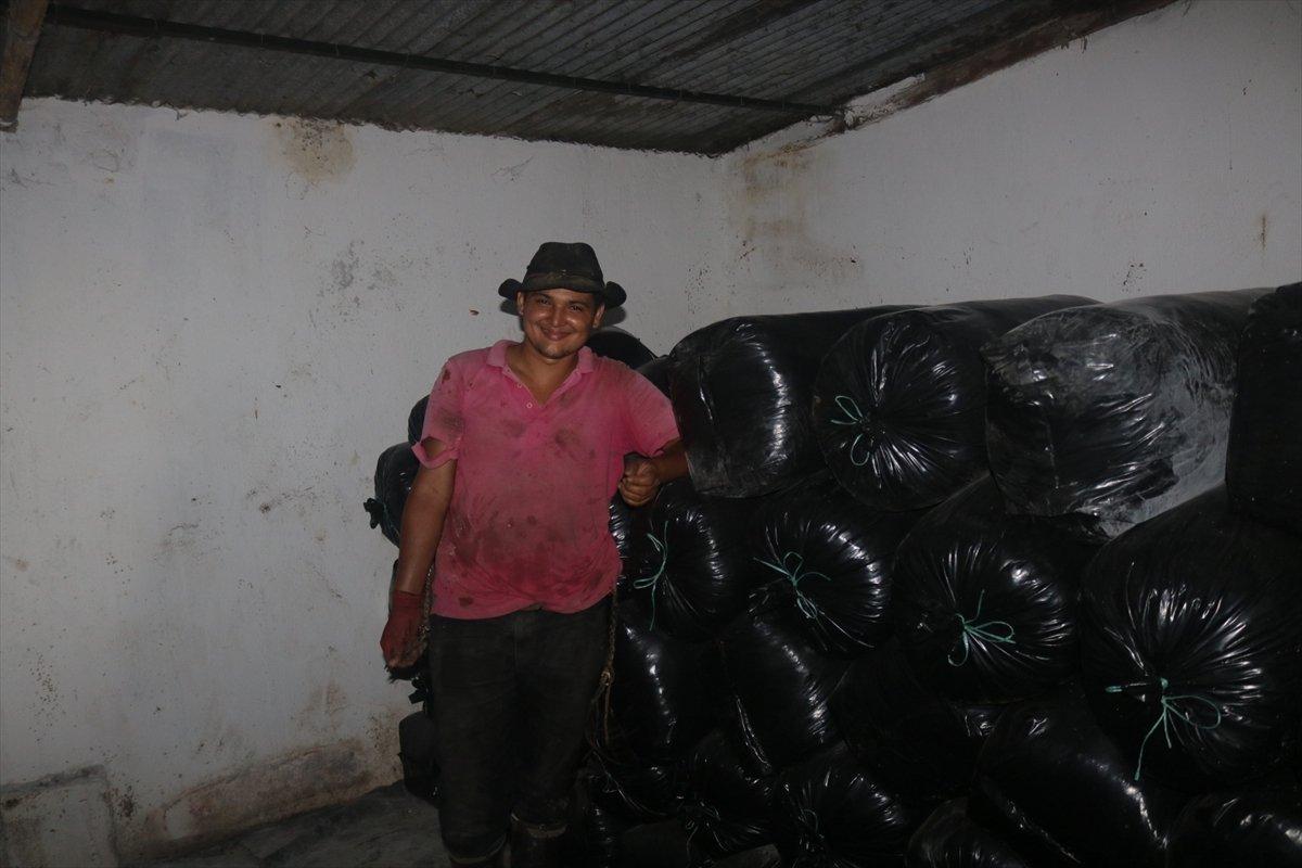 TİKA'dan Peru Amazonları'nda biyoçeşitliliğin korunmasına destek