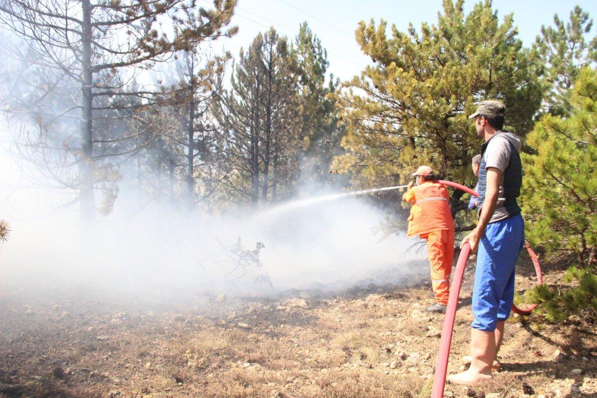 Karaman’da orman yangını