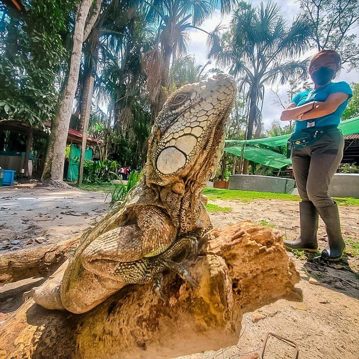 TİKA'dan Peru Amazonları'nda biyoçeşitliliğin korunmasına destek