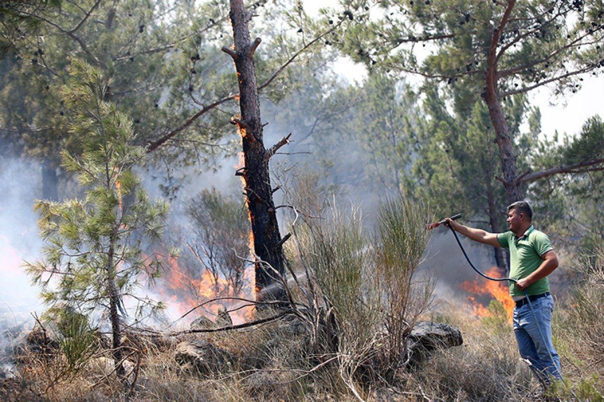 Vatandaşlar Silifke'deki yangını söndürme çalışmalarına yardım ette