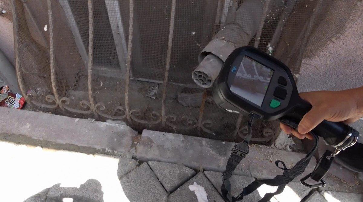 Sultangazi'de yılan paniği