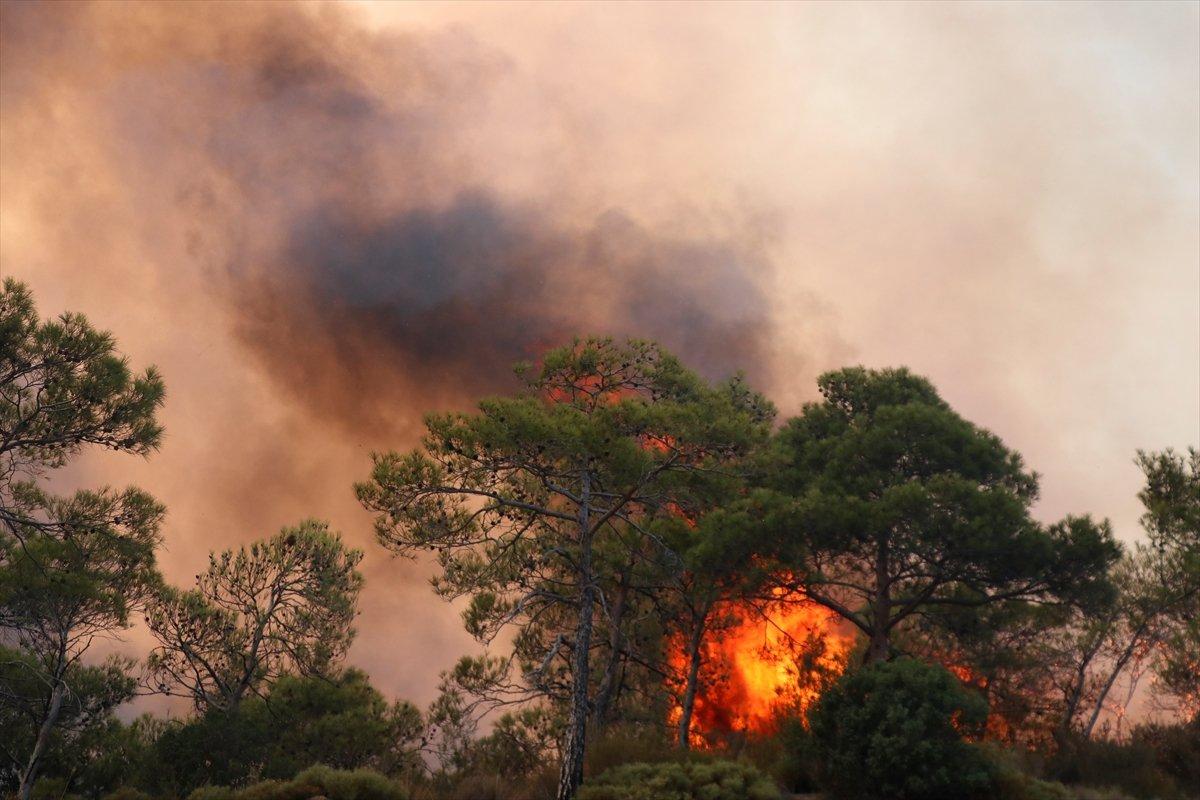 Orman yangınları için özel ekip görevlendirildi
