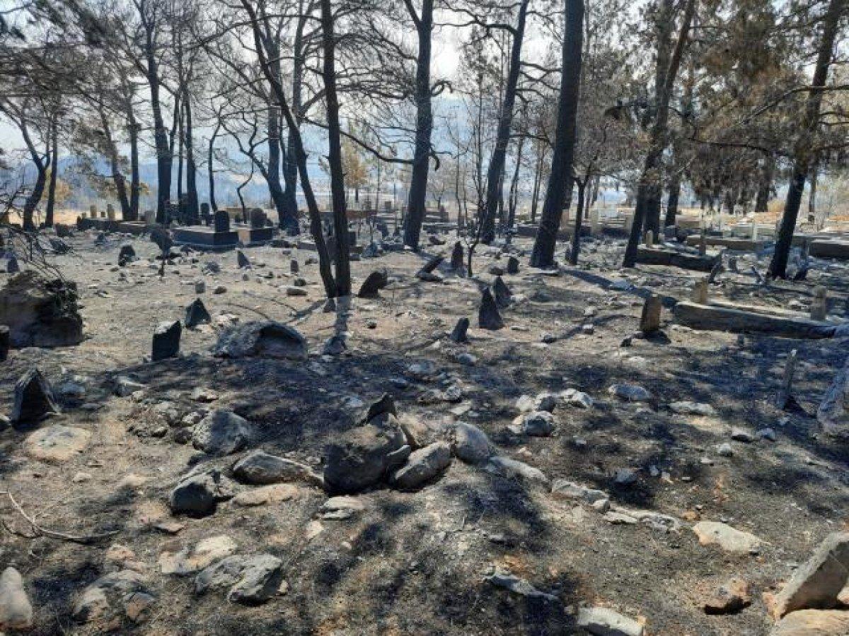Mersin'deki yangında zarar gören mezarlıkta şehit kabri ve Türk bayrağı yanmadı
