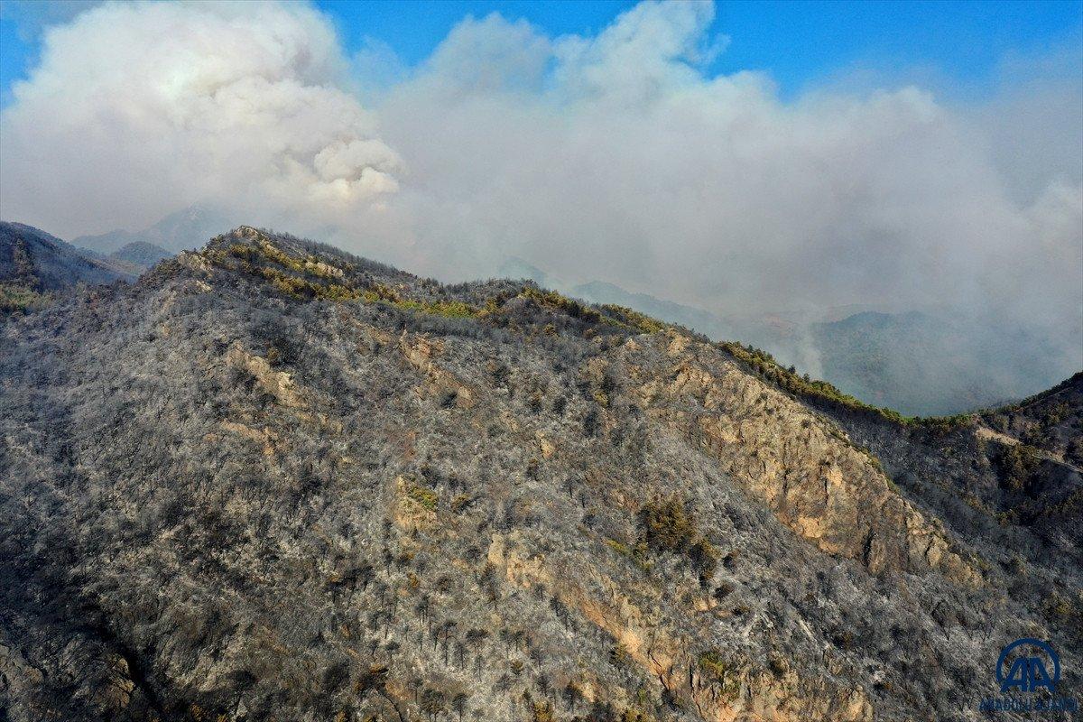 Marmaris'teki yangın havadan görüntülendi