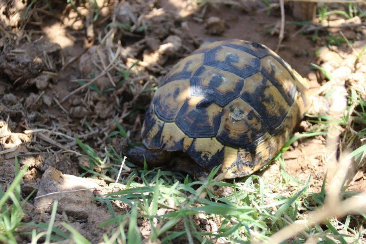 Konya'da çıkan yangın büyümeden söndürüldü
