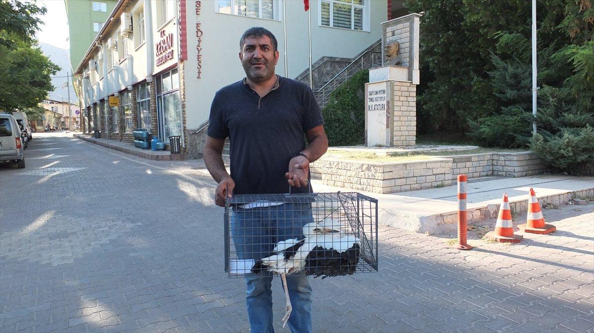 Leylek ayağına dolanan telden kurtuldu