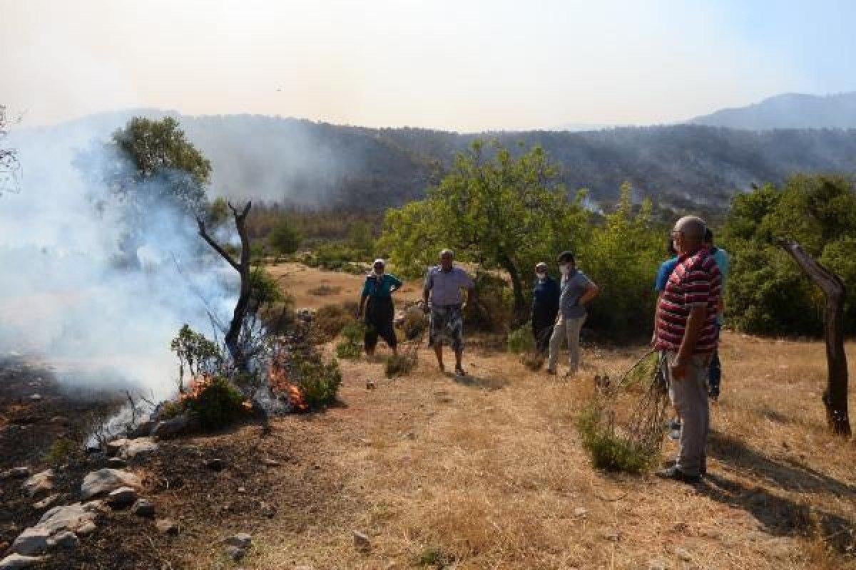 Mersin'deki yangınlara havadan müdahale yeniden başladı