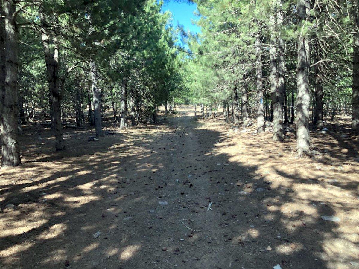Hatay’da terörden arındırılan Çardak Yaylası, turizme hazırlanıyor