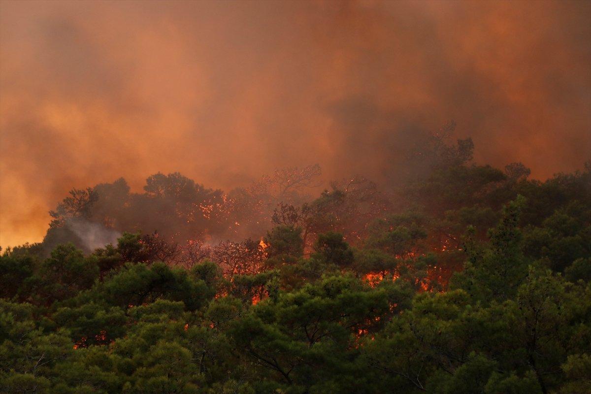 Orman yangınları için özel ekip görevlendirildi