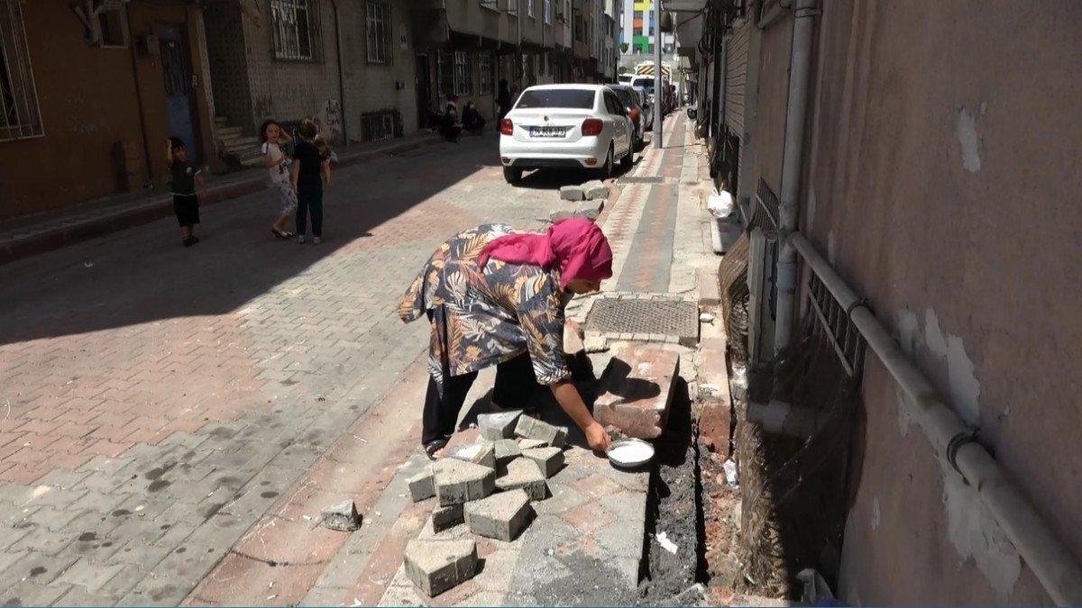 Sultangazi'de yılan paniği