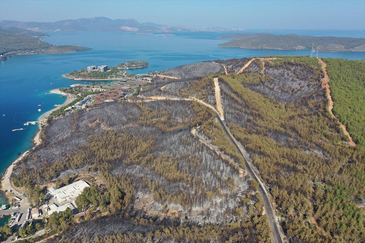 Bodrum'daki yangının boyutu havadan görüntülendi