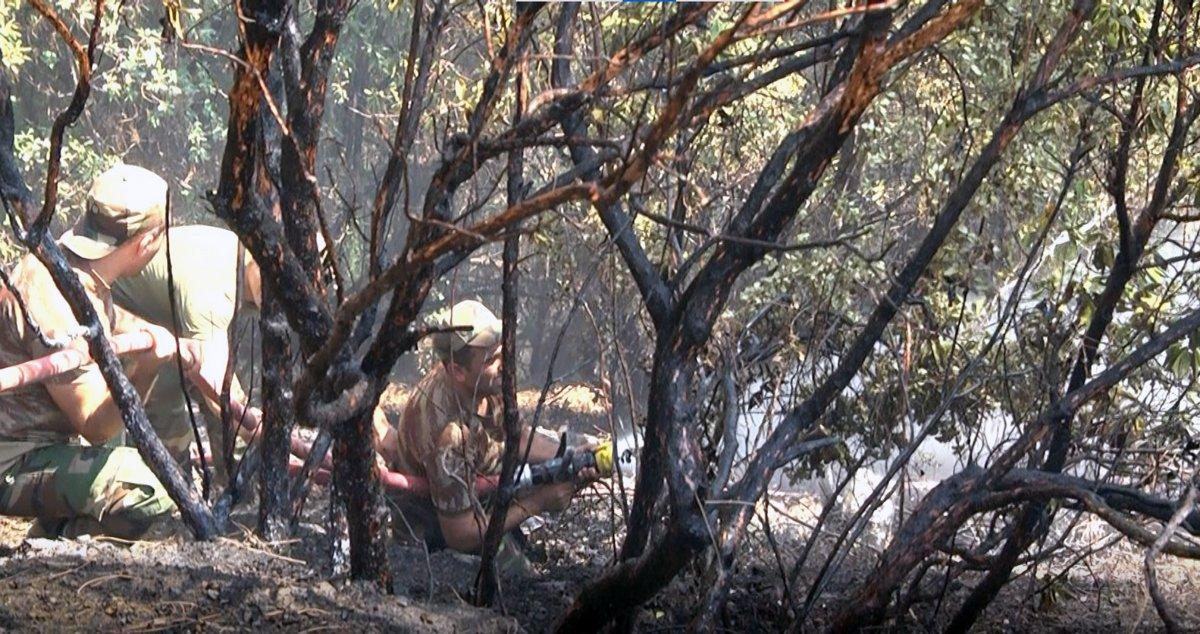 Azerbaycan'dan gelen ekip, yangına müdahaleye başladı