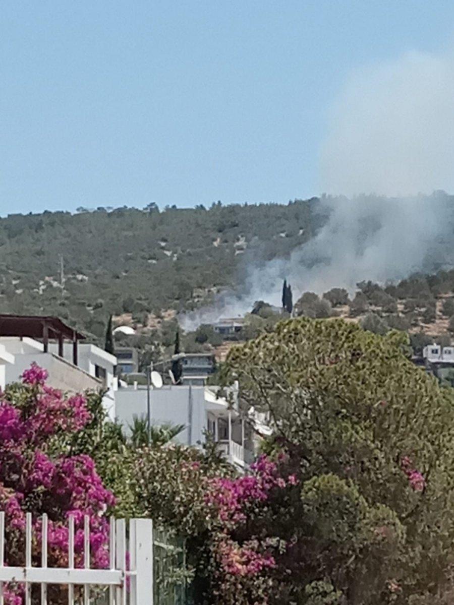 Bodrum'da makilik ve ormanlık alanda yangın