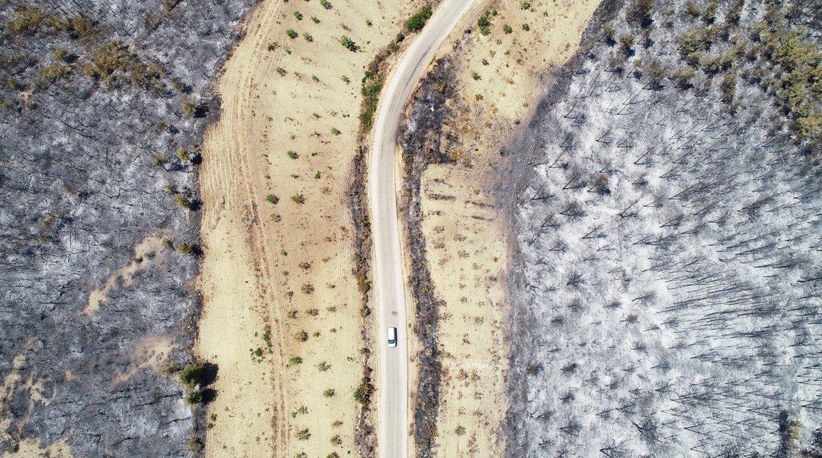 Antalya ve Adana'dan alevlerin ardından yürek yakan manzaralar
