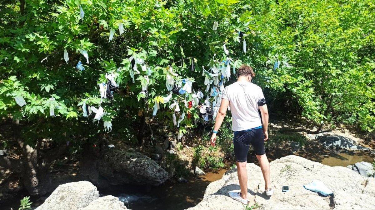 İzmir'de, vatandaşların çaput bağladığı dilek ağacına maske asılmaya başlandı