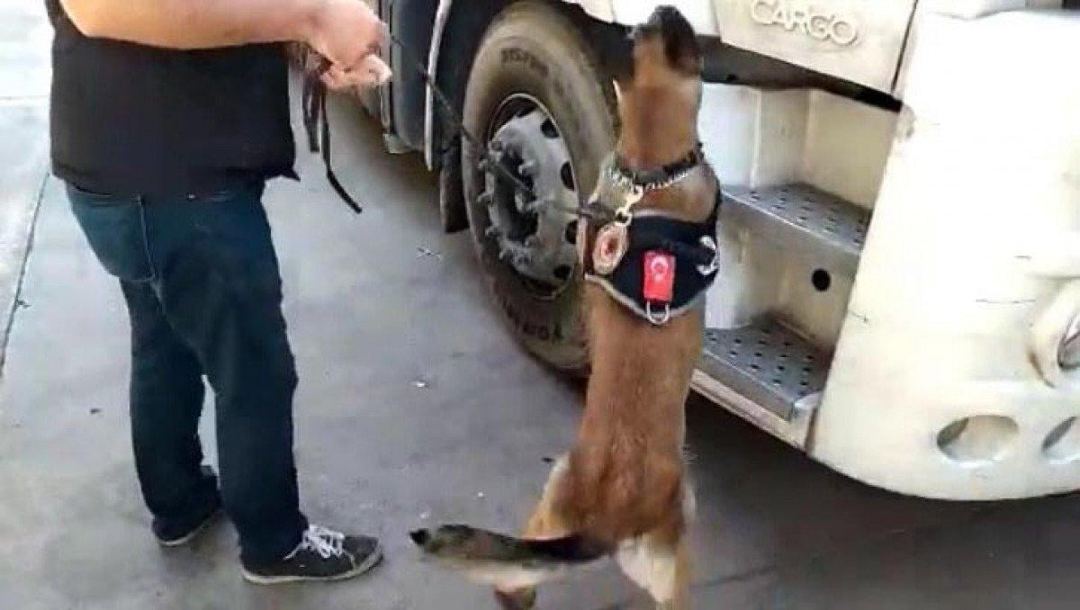 İzmir’de 10 bin 70 adet ecstasy hap ele geçirildi