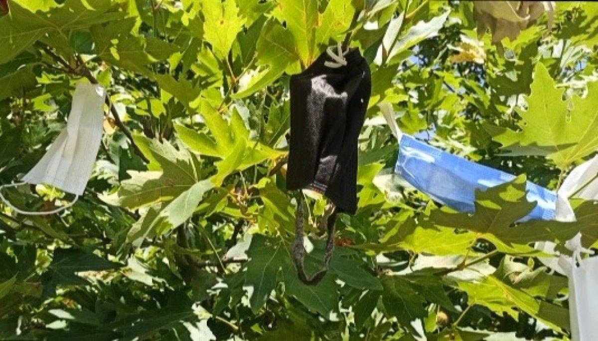 İzmir'de, vatandaşların çaput bağladığı dilek ağacına maske asılmaya başlandı