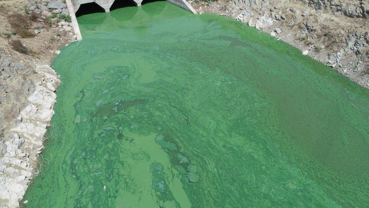 Sazlıdere Barajı'nın rengi değişti