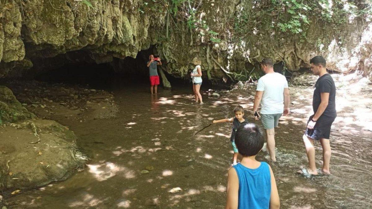 İzmir'de, vatandaşların çaput bağladığı dilek ağacına maske asılmaya başlandı