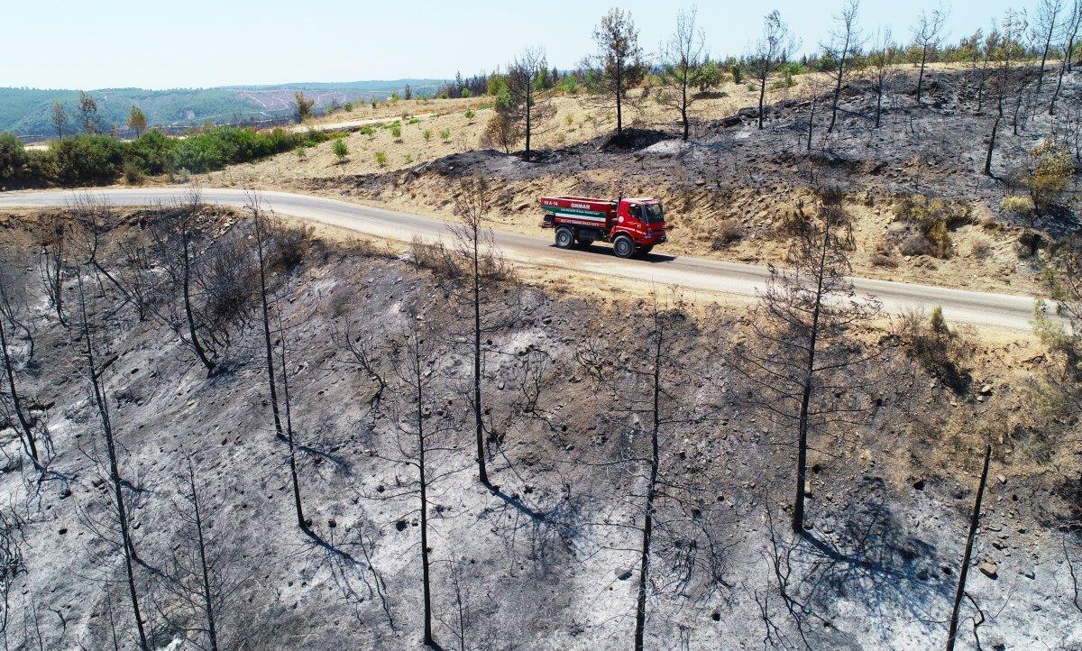 Antalya ve Adana'dan alevlerin ardından yürek yakan manzaralar