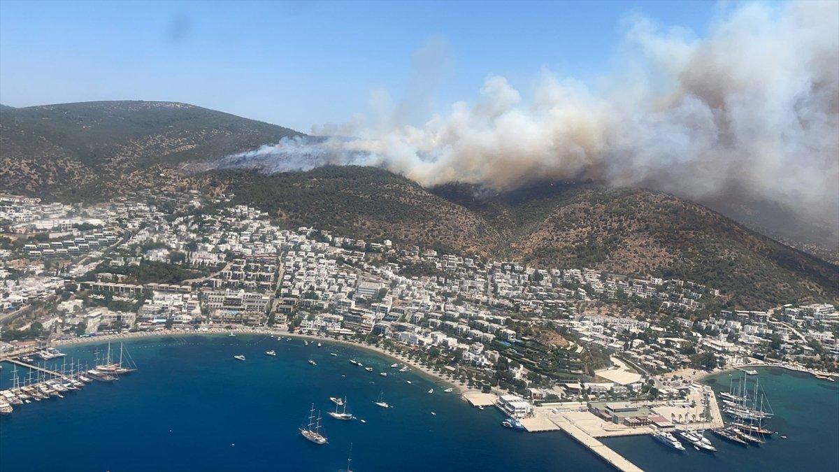 Bodrum'da makilik ve ormanlık alanda yangın