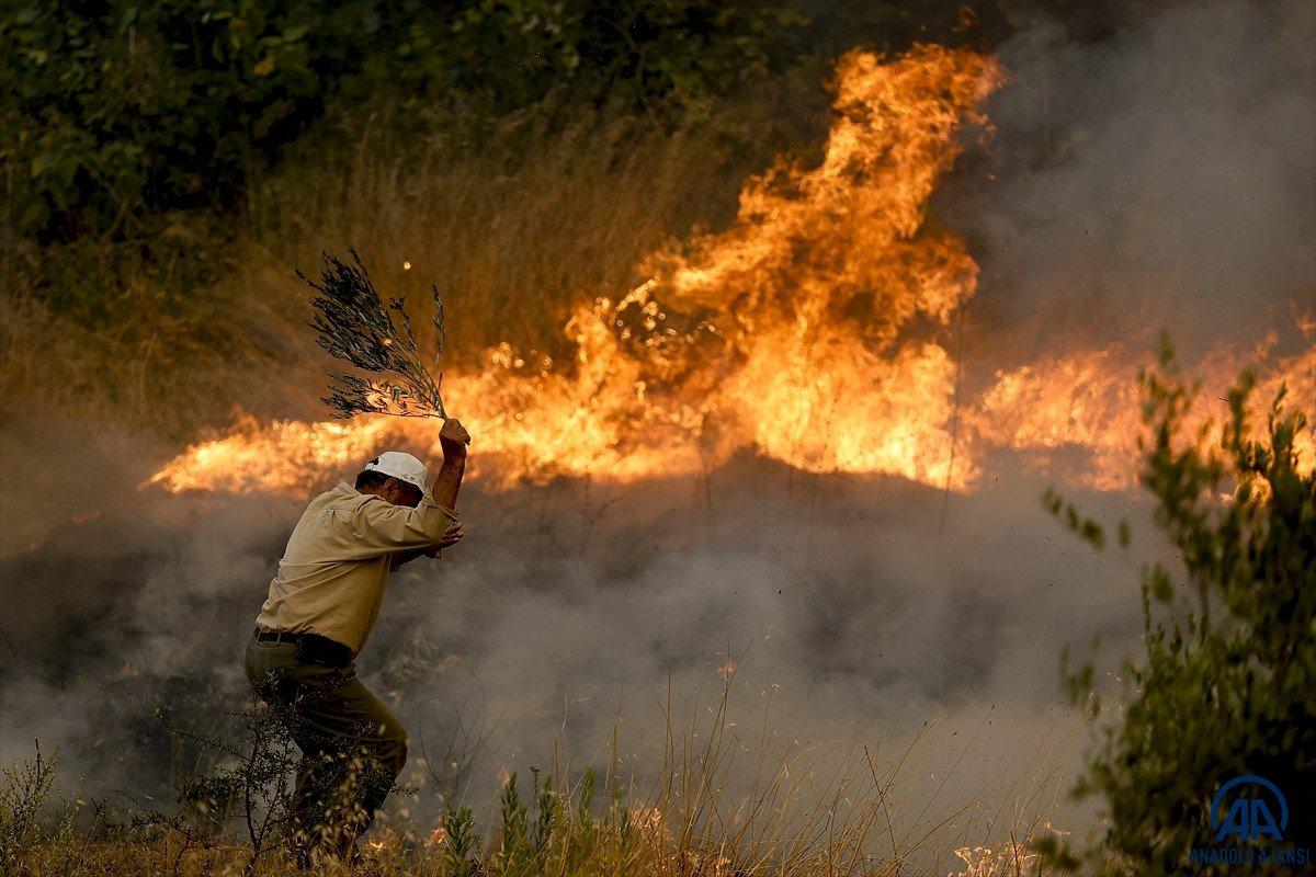 Orman yangınlarını söndürmek için vatandaşlar seferber oldu