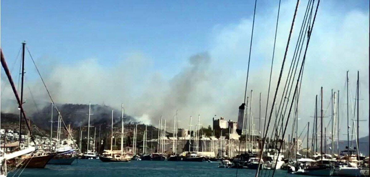 Bodrum'da makilik ve ormanlık alanda yangın