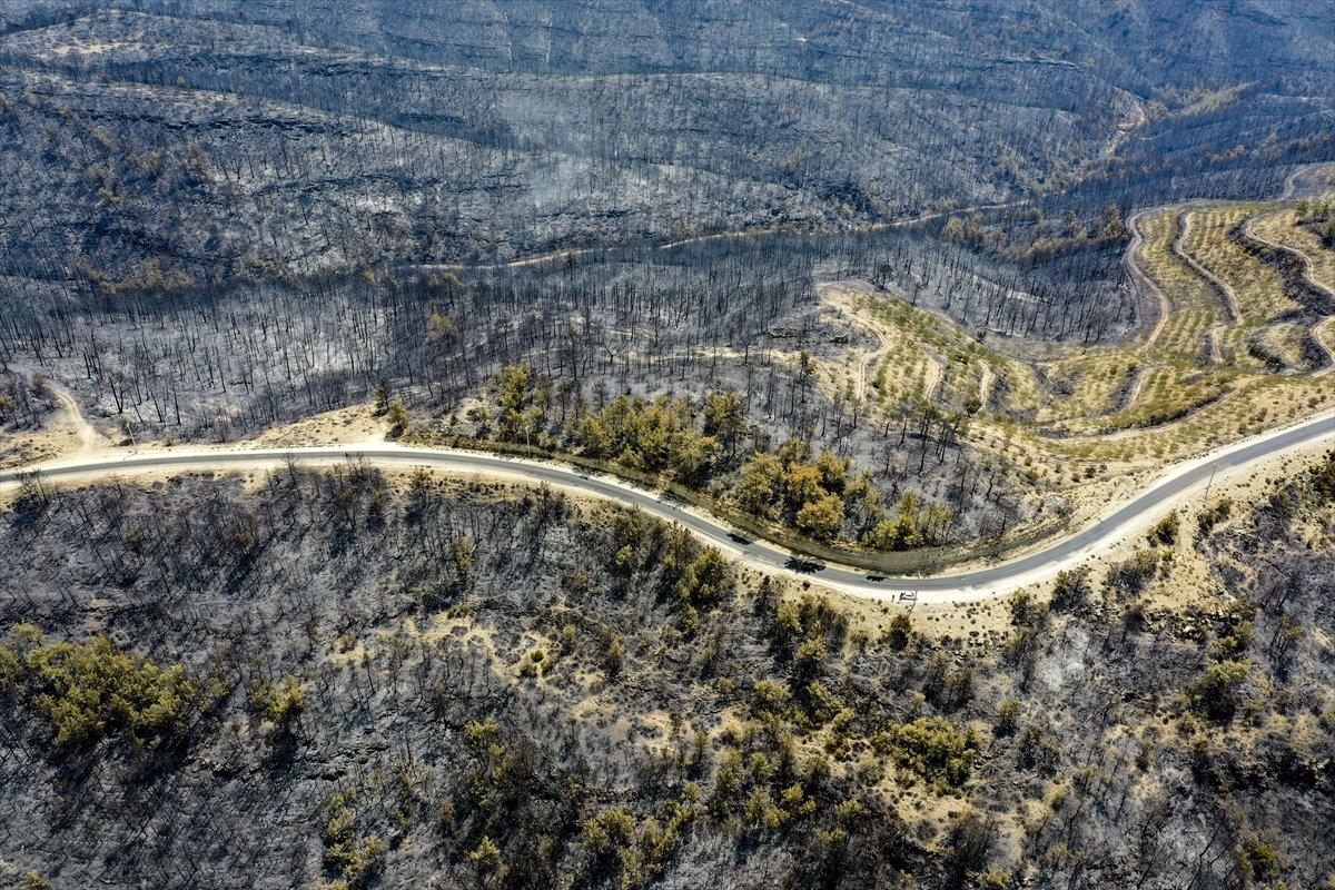 Manavgat ormanları küle döndü