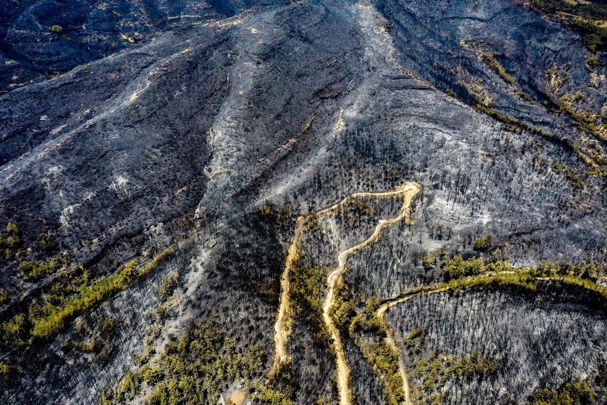 Manavgat ormanları küle döndü