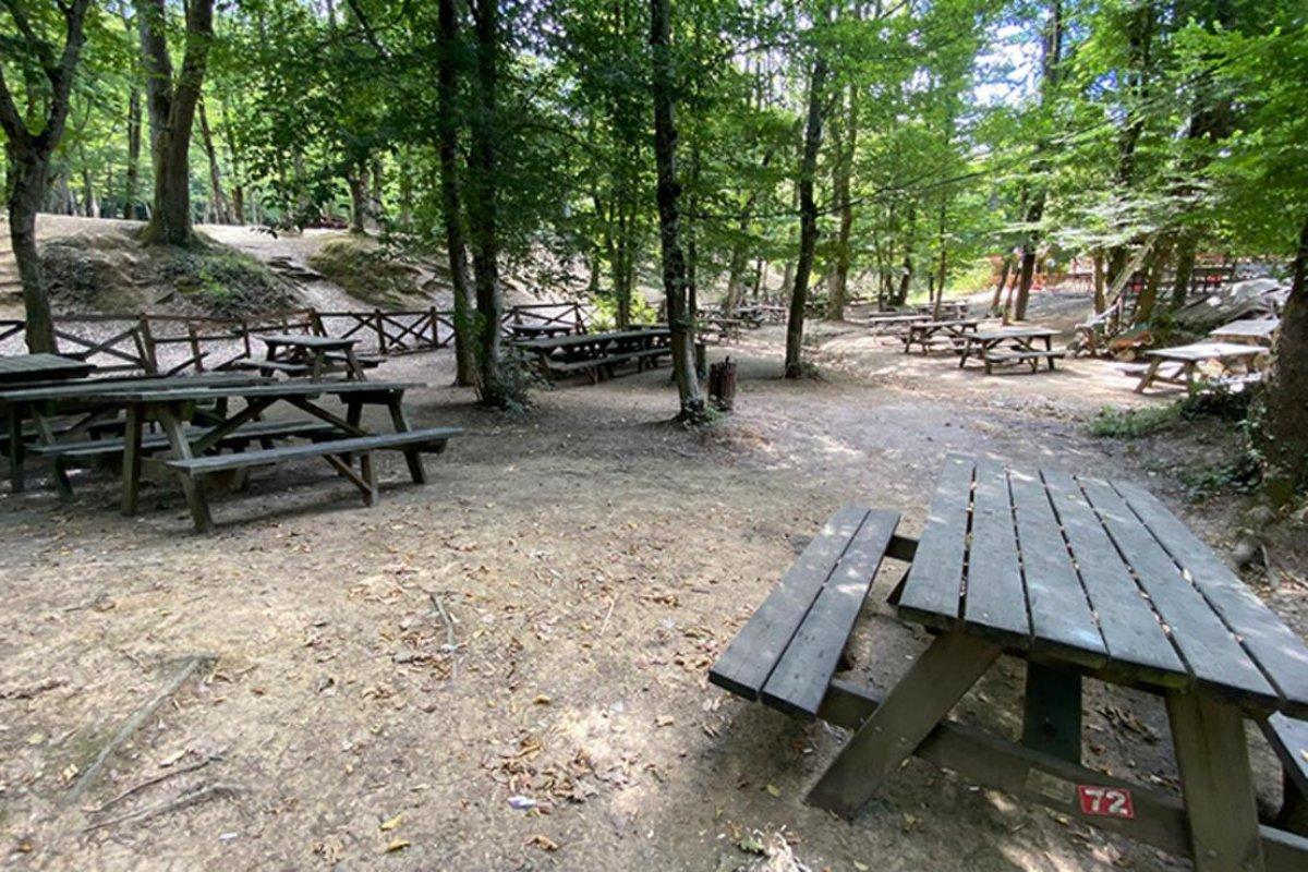 Belgrad Ormanı açık mı, kapalı mı? Belgrad'a girişler yasaklandı mı?