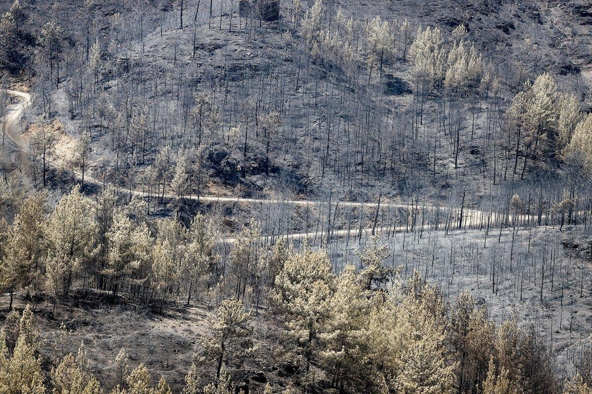 Manavgat ormanları küle döndü
