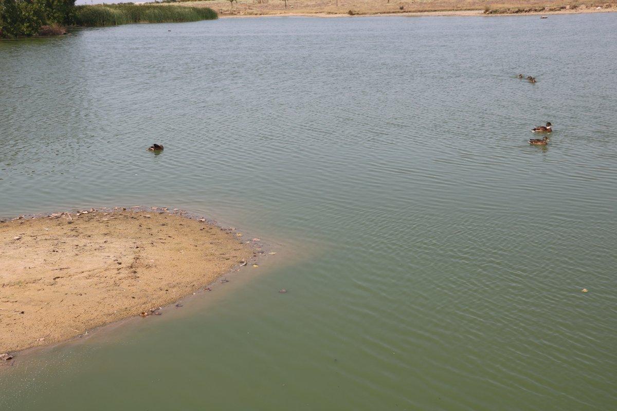 Yunanistan'ın açtığı ateşten kıl payı kurtulan tanık konuştu