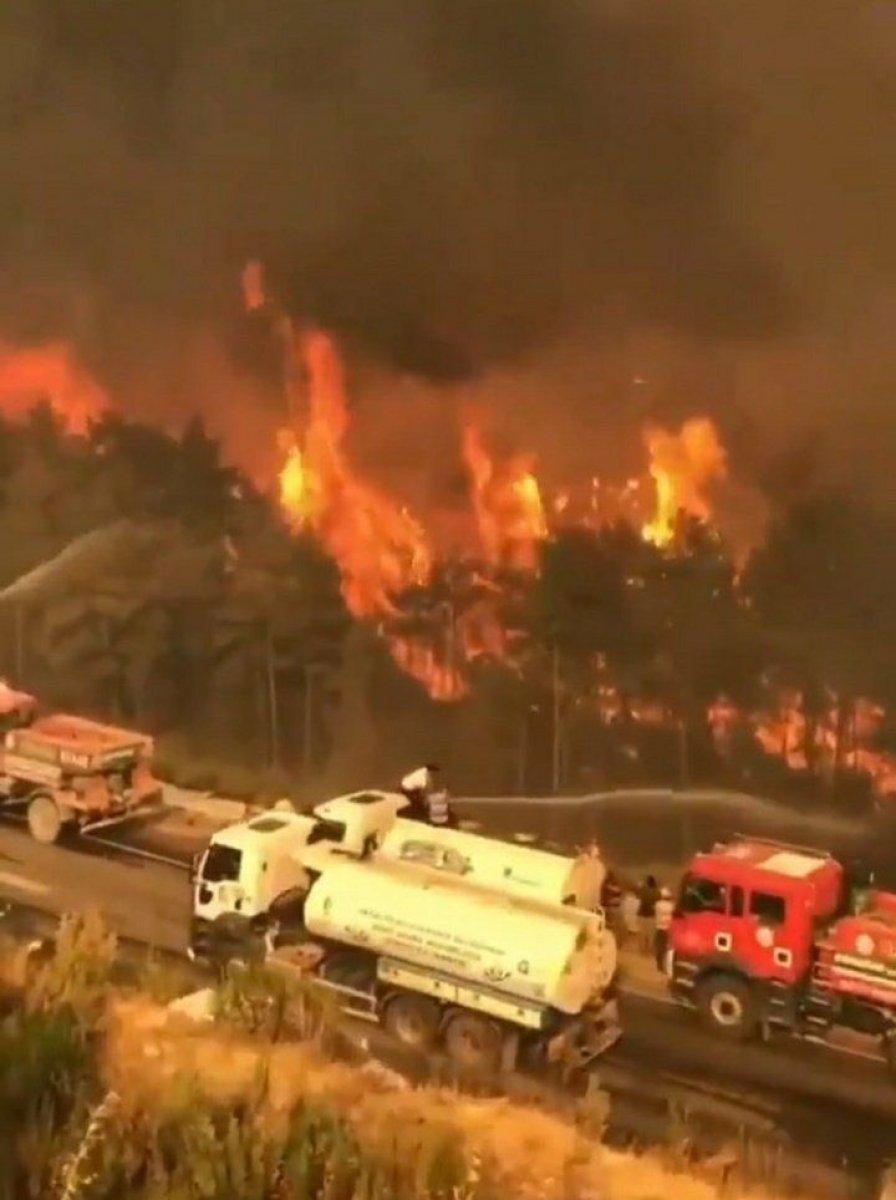 Bodrum Çökertme Koyu'nda yangın şiddetini artırarak devam ediyor