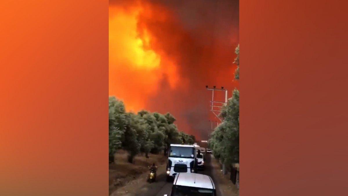 Bodrum Çökertme Koyu'nda yangın şiddetini artırarak devam ediyor