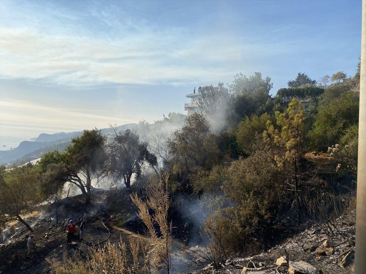 Orman yangınları kontrol altına alınıyor