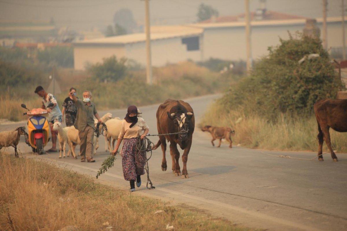Manavgat’ta can kaybı 7’ye yükseldi