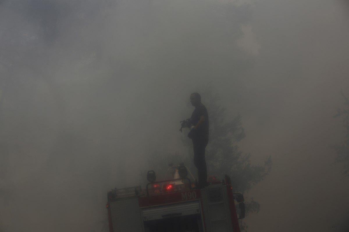 40’tan fazla ülkede ormanlar alev alev