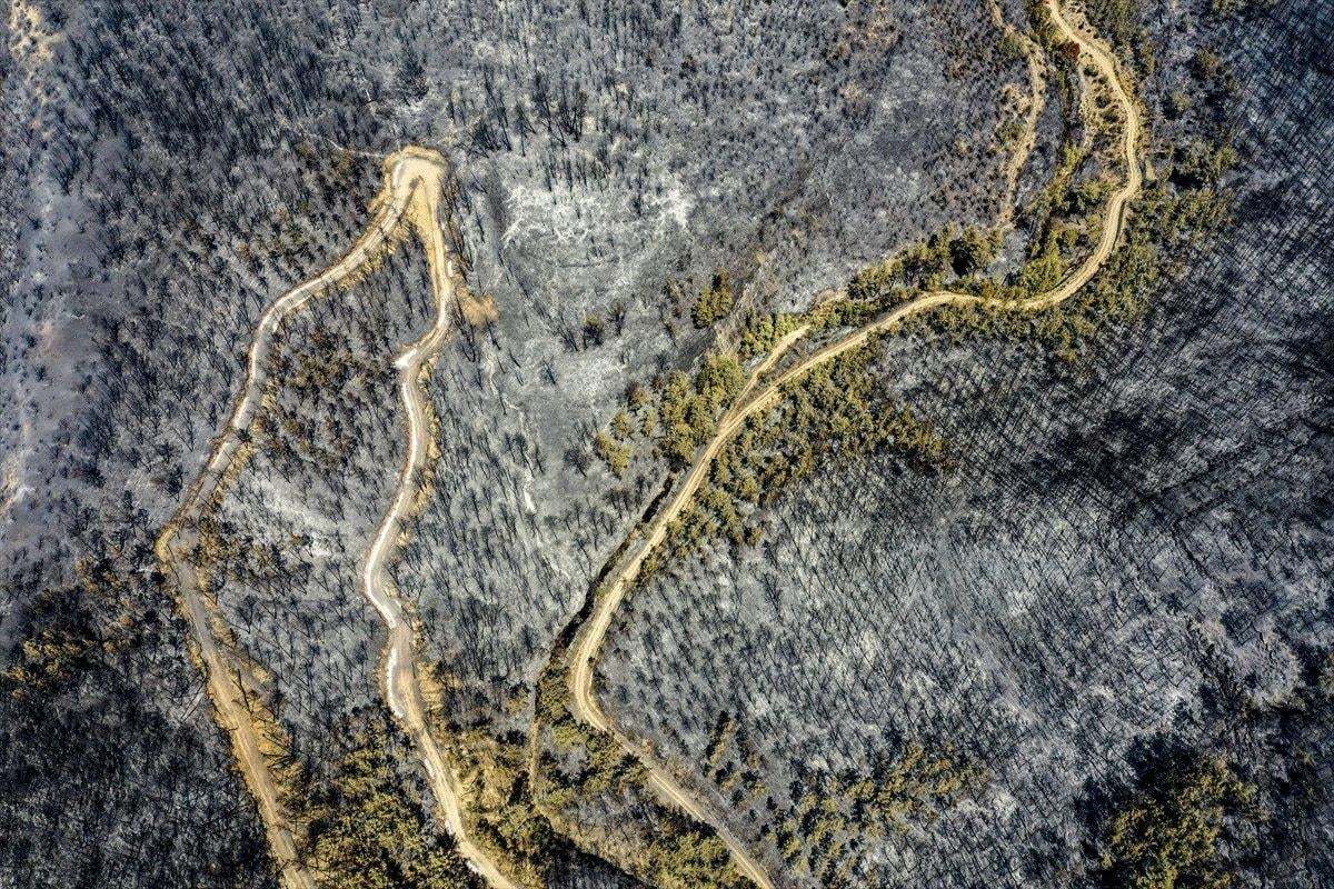 Manavgat ormanları küle döndü