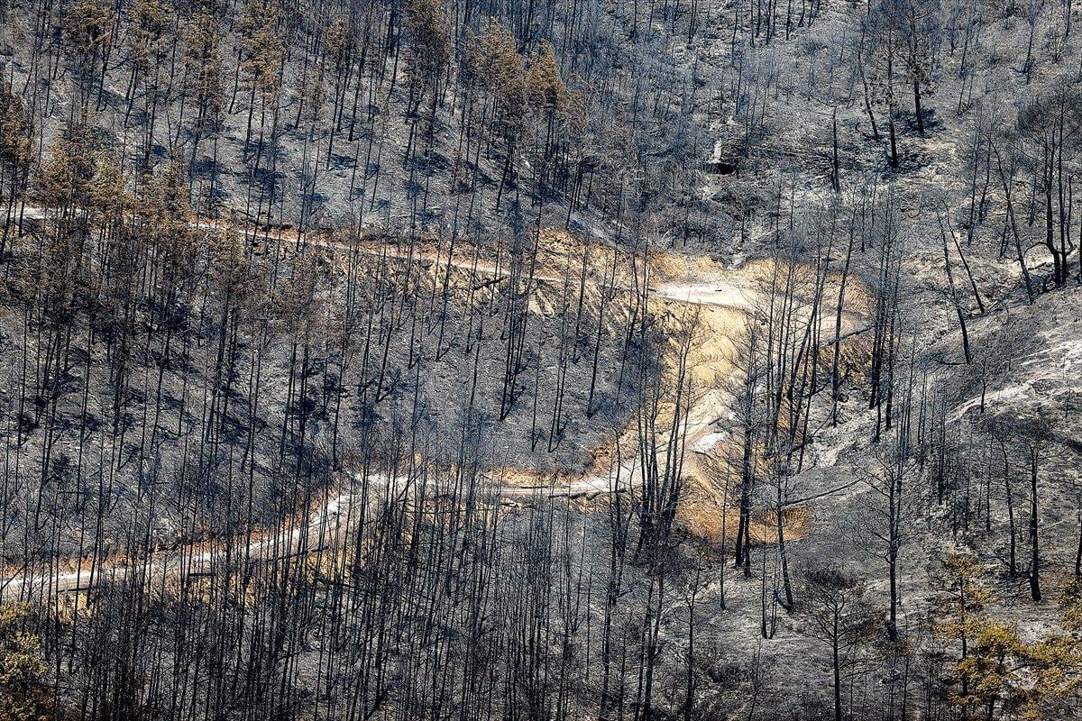 Manavgat ormanları küle döndü