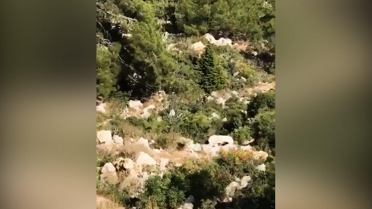 Silifke'de çıkan yangından hayvanların kaçışı