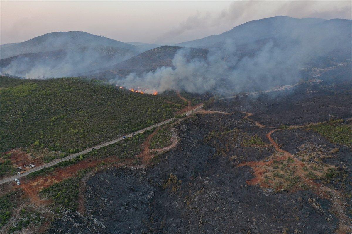 Mehmet Nuri Ersoy: Yanan arazilerin yapılaşmaya tahsisi mümkün değil