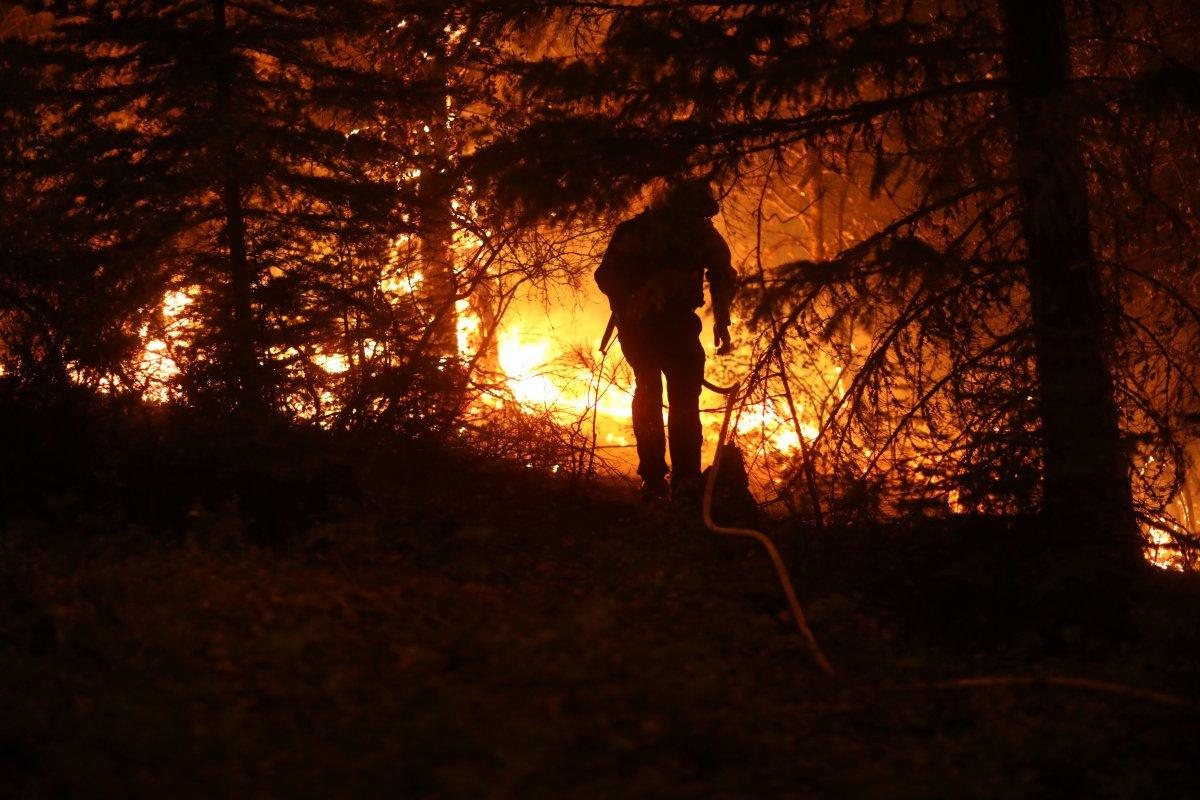 ABD'de orman yangınları devam ediyor