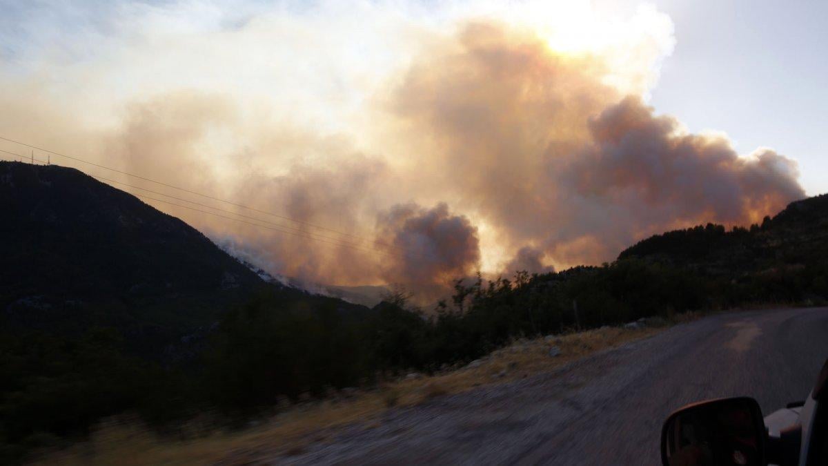 İHH ekipleri yangın bölgelerinde