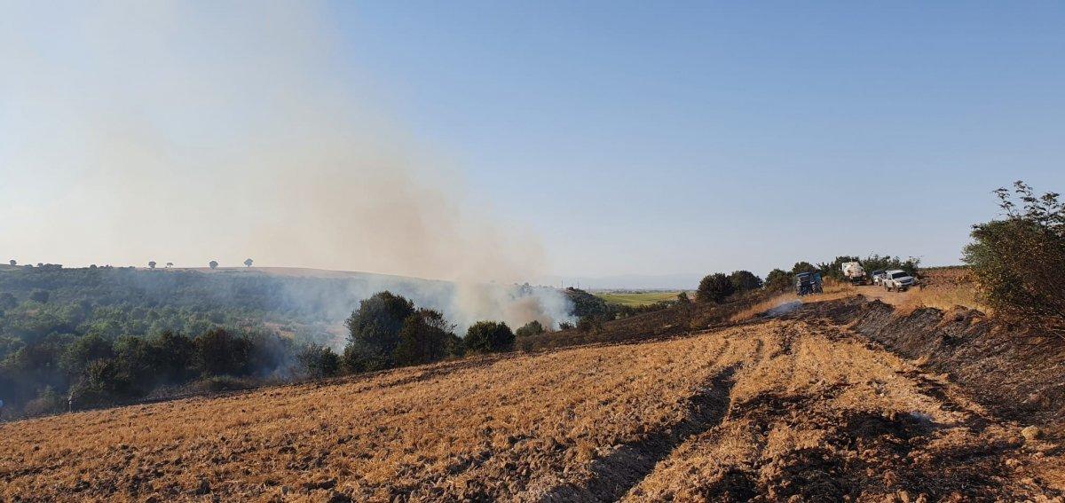 Balıkesir’de elektrik direğine çarpan atmaca yangına neden oldu