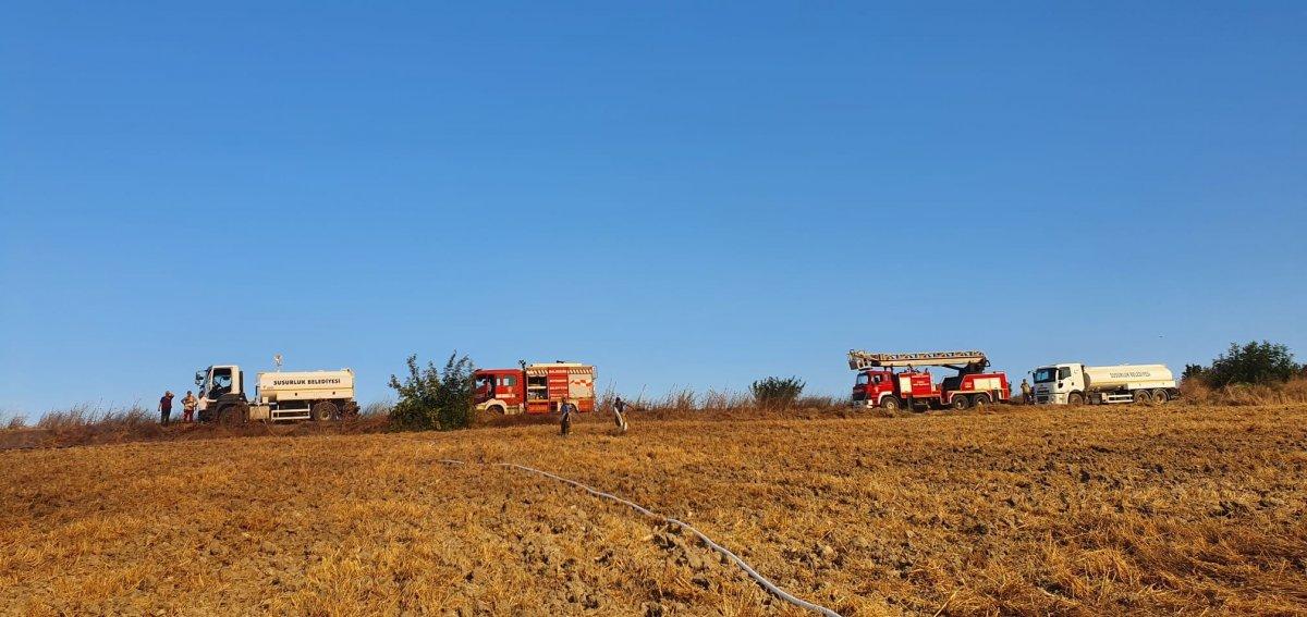 Balıkesir’de elektrik direğine çarpan atmaca yangına neden oldu